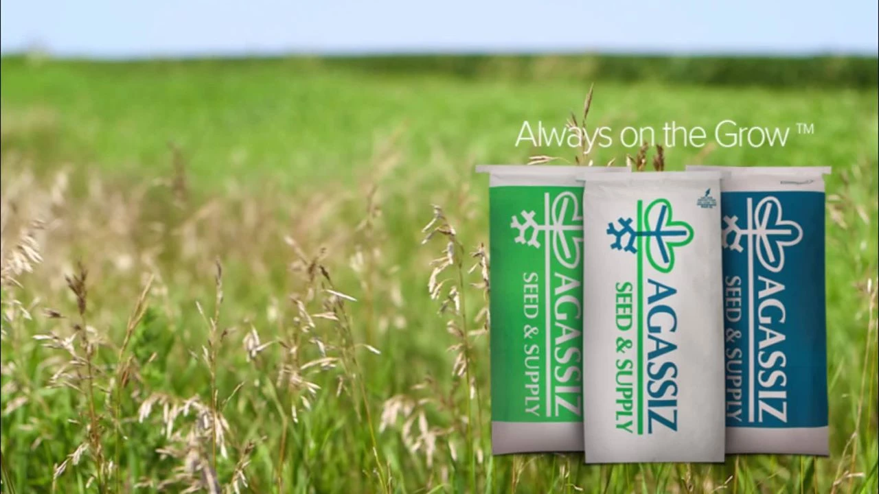 Lawn & Garden Store -Lawn & Garden Store 41402412 1845592872214334 1865320862341660672 n