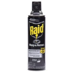 Raid Wasp & Hornet, 1353, 14 OZ