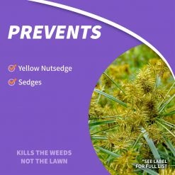 BONIDE Sedge Ender® Concentrate, 16 oz 10 BONIDE Sedge Ender® Concentrate, 16 oz -Lawn & Garden Store sftp a s assets20220701000000017