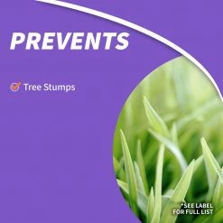 BONIDE Stump-Out® DIY Stump Removal Granules, 1 lb -Lawn & Garden Store sftp a s assets20220701000000086