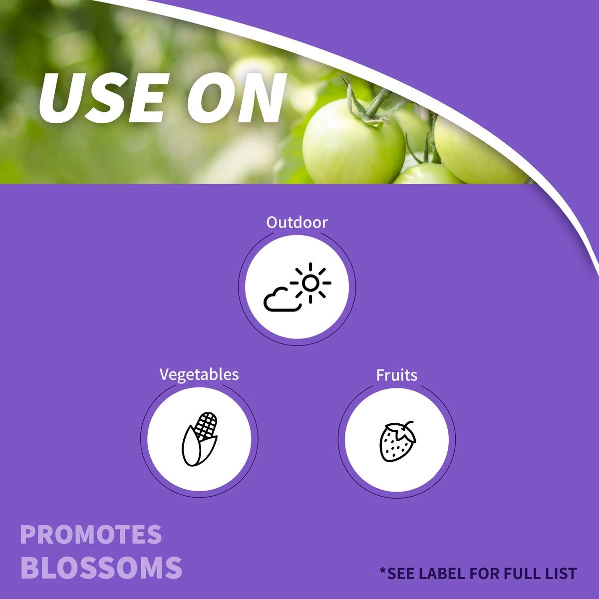 BONIDE Tomato & Blossom Set Spray Ready-To-Use, 8 oz 4 BONIDE Tomato & Blossom Set Spray Ready-To-Use, 8 oz - Image 2