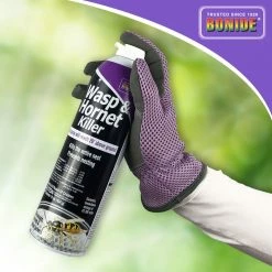 Bonide Wasp & Hornet Spray, 631, 15 OZ -Lawn & Garden Store sftp a s assets20220701000000161