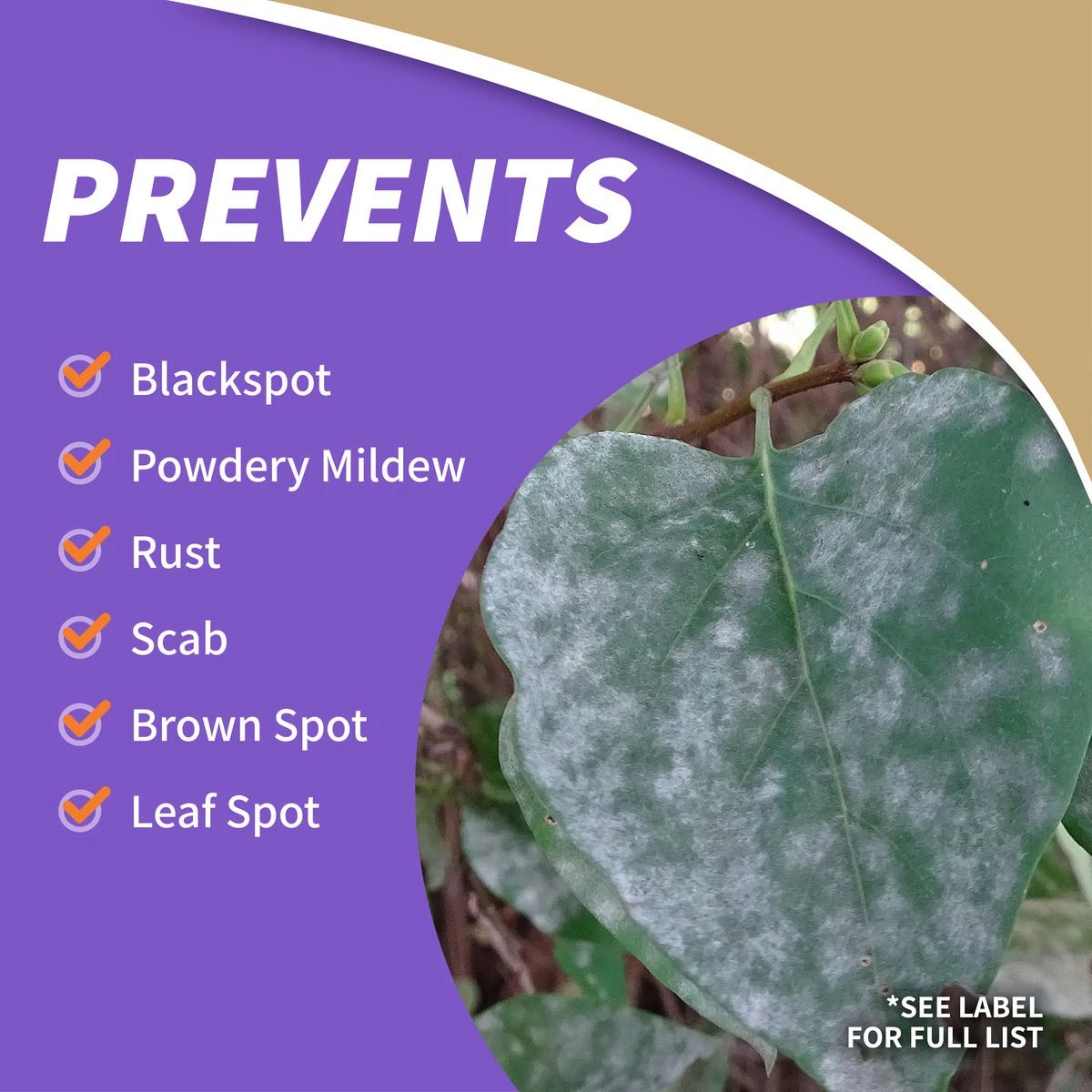 BONIDE Tomato & Vegetable 3-in-1 Ready-To-Use, 32 oz 4 BONIDE Tomato & Vegetable 3-in-1 Ready-To-Use, 32 oz - Image 2