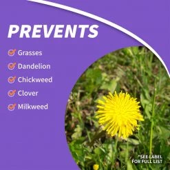 BONIDE KleenUP He High Efficiency Weed & Grass Killer with PW Ready-To-Use, 128 oz -Lawn & Garden Store sftp a s assets20220701000000228