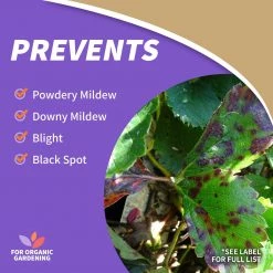 BONIDE Liquid Copper Fungicide Ready-To-Use, 32 oz -Lawn & Garden Store sftp a s assets20220701000000234