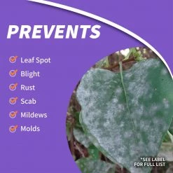 BONIDE Fung-onil Fungicide Ready-To-Use, 32 oz 10 BONIDE Fung-onil Fungicide Ready-To-Use, 32 oz -Lawn & Garden Store sftp a s assets20220701000000278