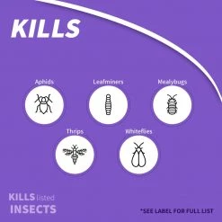BONIDE Rose Shield™ Systemic Rose & Flower Care Granules, 6 lbs -Lawn & Garden Store sftp a s assets20220701000000285